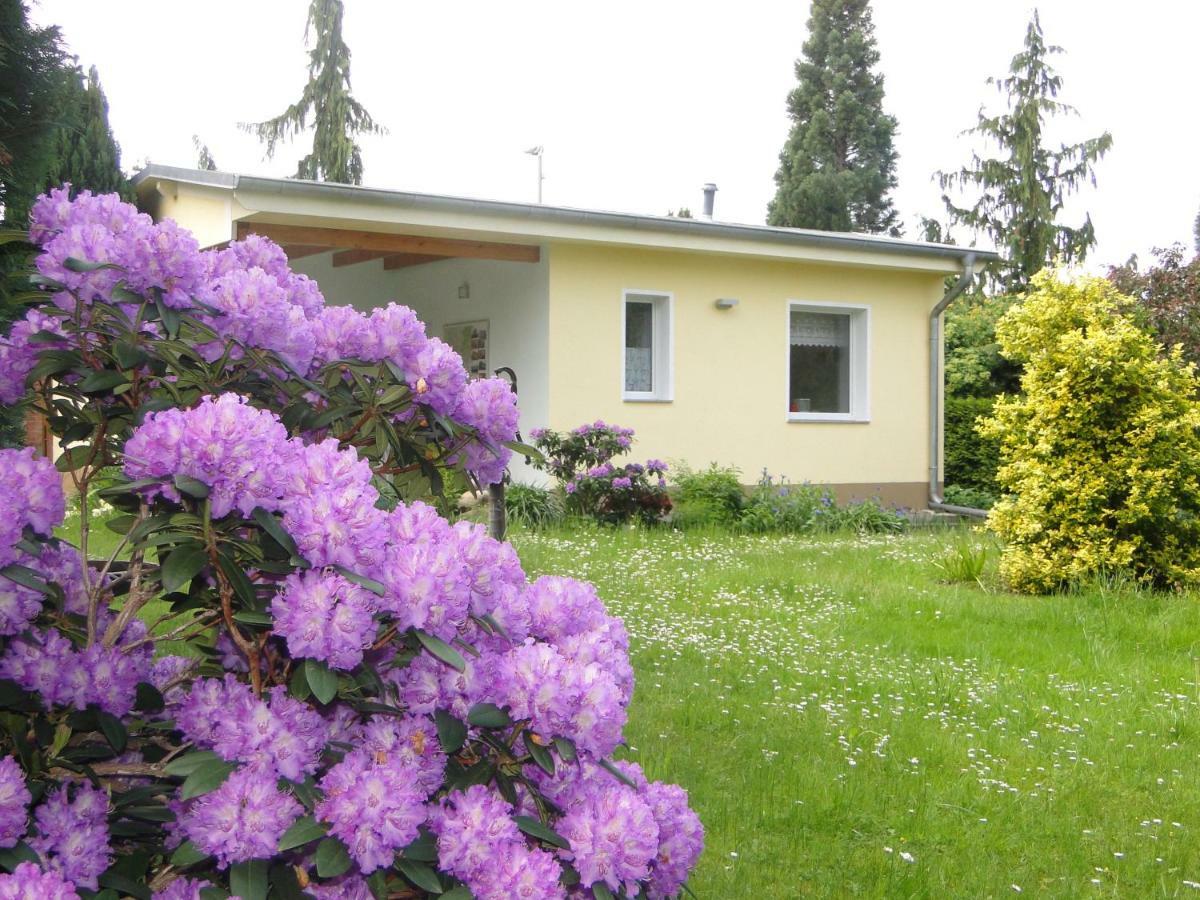 Sommerhaus Im Gruenen Berlin Exterior foto